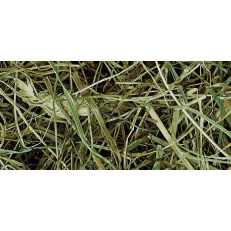TOP HAY XL 18 KG - FOIN DEPOUSSIERE