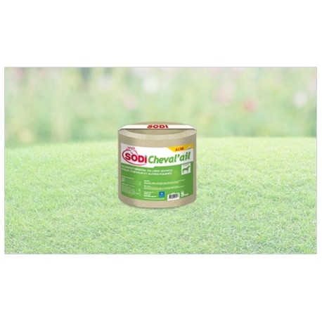 BLOC AIL SODICHEVAL'AIL 5 KG