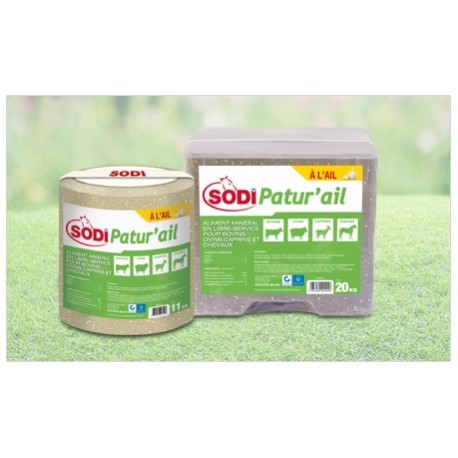 BLOC AIL SODIPATUR'AIL 11 KG