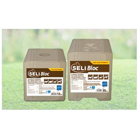 BLOC SELIBLOC OLIGO 12 KG