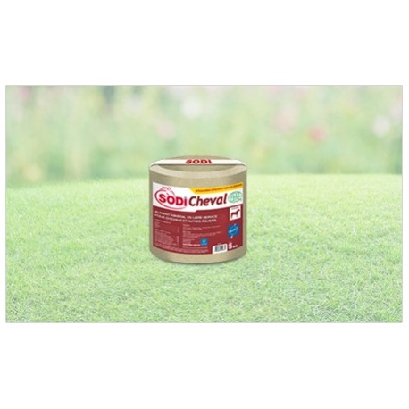 BLOC SODICHEVAL 5 KG