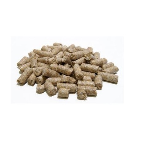 TOP RONGEUR GUYOLAP 25 KG