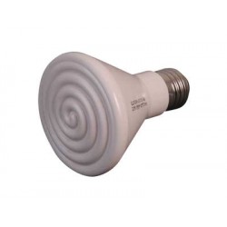 AMPOULE CERAMIQUE 250W