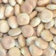 LUPIN BLANC 25KG