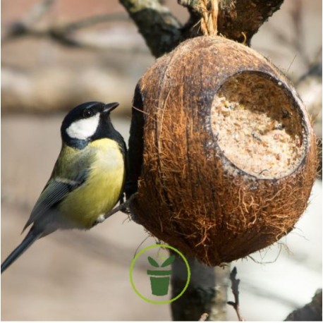 NOIX DE COCO FARCIE ENTIERE - OISEAUX