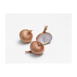ECHALOTTES RED SUN / POLKA 500GR (rondes)