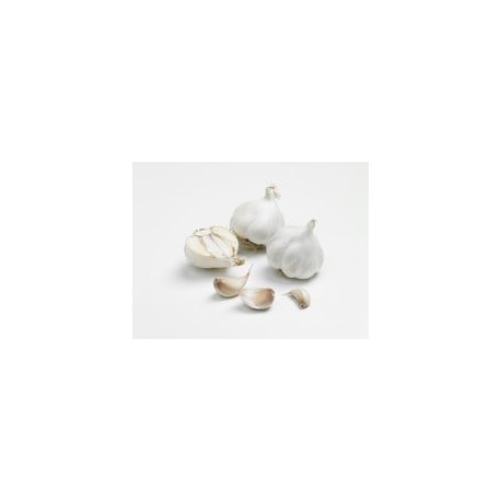 AIL CLEDOR EN 500GR