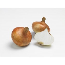 OIGNONS RIESEN 5KG (ronds)