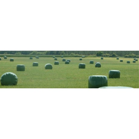 FILM ENRUBANNEUSE 75CM VERT SILAWRAP