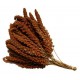 MILLET EN GRAPPE ROUGE 1KG