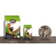 GRANDE PERRUCHE AFRICAINE 2,5KG