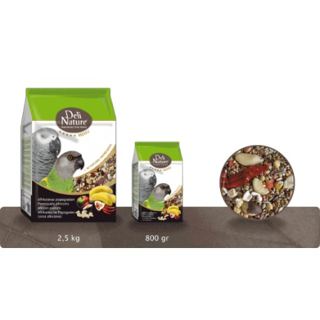 PERROQUET AFRICAIN 2,5KG