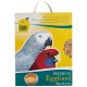 CEDE PATEE AUX ŒUFS GRANDE PERRUCHE / PERROQUET 5KG