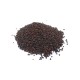 COLZA GRAINE 25KG