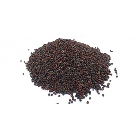 COLZA GRAINE 25KG