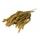 MILLET EN GRAPPE JAUNE 1KG