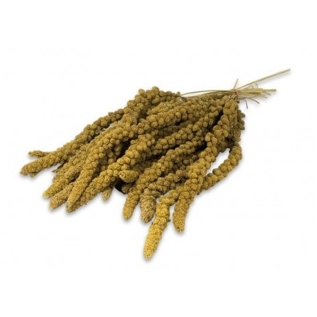 MILLET EN GRAPPE JAUNE 1KG