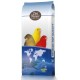 CANARIS ELEVAGE AVEC PERILLA BLANC (54) 20KG