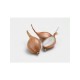 ECHALOTTES JERMOR 15/35 500GR (longues)