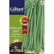 CAILLARD HARICOT NAIN REGALIA [8]