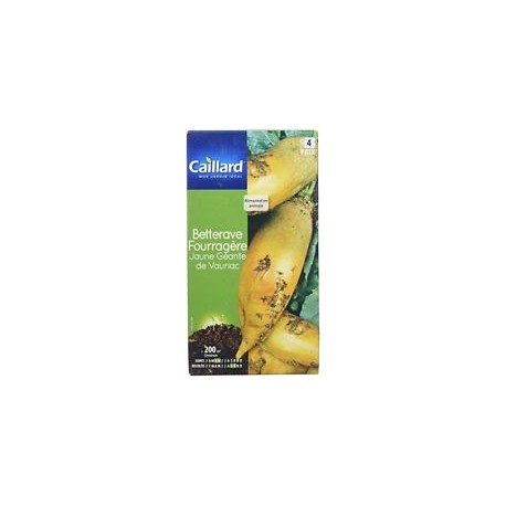 CAILLARD BETTERAVE FOURRAGERE JAUNE ECKENDORF / VAURIAC [4]