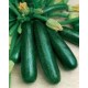 CAILLARD COURGETTE VERTE NON COUREUSE MARAICH. [B]