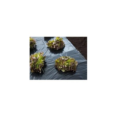 FEUTRE DE PAILLAGE MICROPERFORE 0,9M X 10M