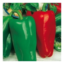 CAILLARD PIMENT DOUX POIVRON D'ESPAGNE [B]