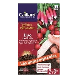 CAILLARD RUBANS DUO DE RADIS [G]