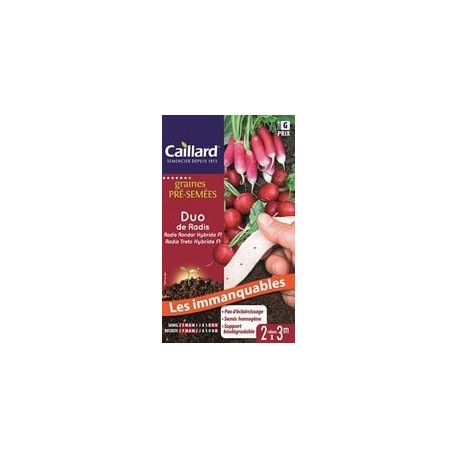 CAILLARD RUBANS DUO DE RADIS [G]
