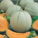CAILLARD MELON PANCHITO [G]