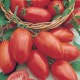 CAILLARD TOMATE ROMA VF [B]