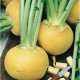 CAILLARD NAVET JAUNE BOULE OR [D]
