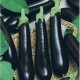 CAILLARD AUBERGINE DE BARBENTANE [B]