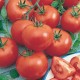 CAILLARD TOMATE SAINT-PIERRE [B]