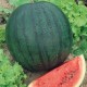 CAILLARD MELON D'EAU (PASTEQUE) SUGAR BABY [D]