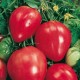 CAILLARD TOMATE COEUR DE BOEUF [D]