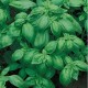 CAILLARD BASILIC GRAND VERT [D]
