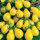 CAILLARD TOMATE YELLOW PEARSHAPED [D]