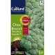 CAILLARD CHOU BROCOLI MARATHON [G]