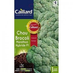 CAILLARD CHOU BROCOLI MARATHON [G]