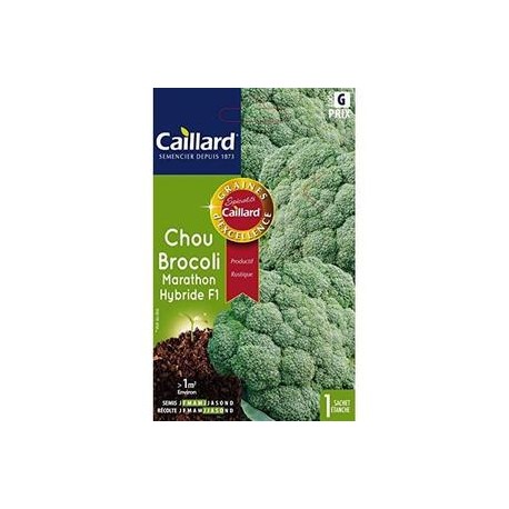 CAILLARD CHOU BROCOLI MARATHON [G]