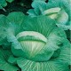 CAILLARD CHOU CABUS QUINTAL ALSACE [B]