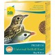CEDE PATEE UNIVERSELLE 5KG