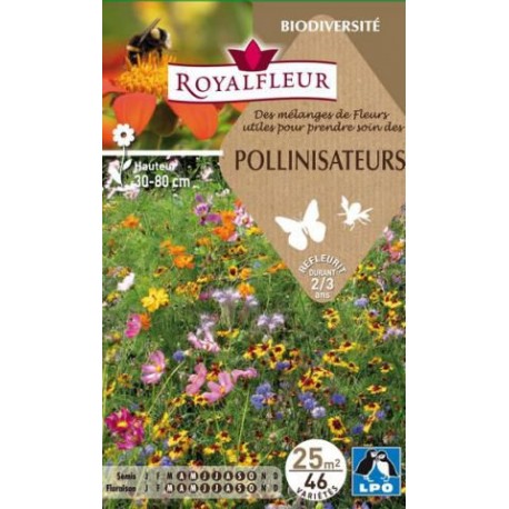 ROYALFLEUR POLLINISATEURS  25M²