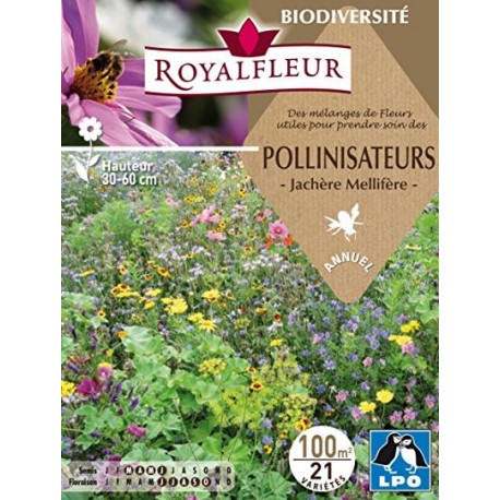 ROYALFLEUR POLLINISATEURS 100M²
