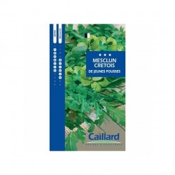 CAILLARD MESCLUN CRETOIS JEUNES POUSSES [D]