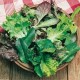 CAILLARD MESCLUN DOUX [D]