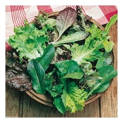 CAILLARD MESCLUN DOUX [D]