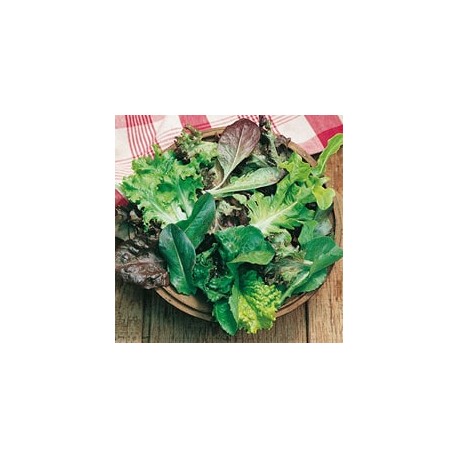 CAILLARD MESCLUN DOUX [D]